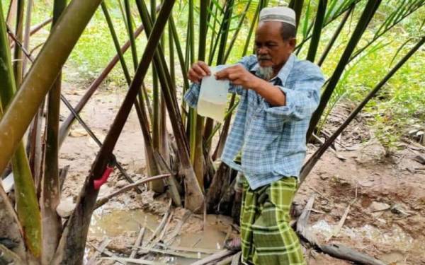 Gambar kenangan Mohamad Ariffie menyediakan bekalan nira nipah untuk dijual.
- Foto media sosial