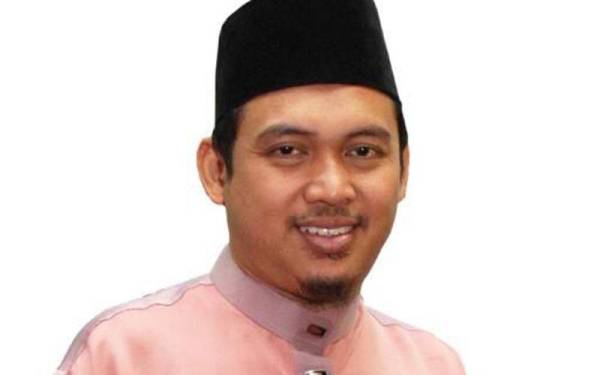 Mohd Dziyaulhak
