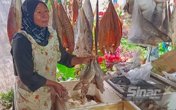 Wan Sapiah menunjukkan ikan budu yang dijual di kedainya.