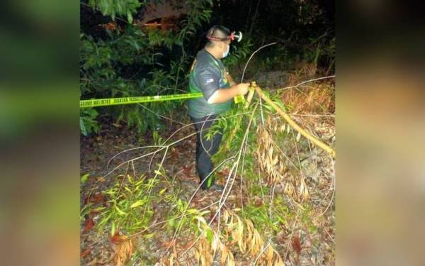 Seorang kakitangan Perhilitan memasang pita tali amaran kepada orang awam supaya tidak menghampiri tasik berikutan kehadiran buaya pada Isnin.