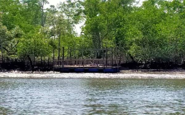 Kawasan penternakan ketam nipah yang dicadang untuk diperoleh kebenaran daripada kerajaan negeri.