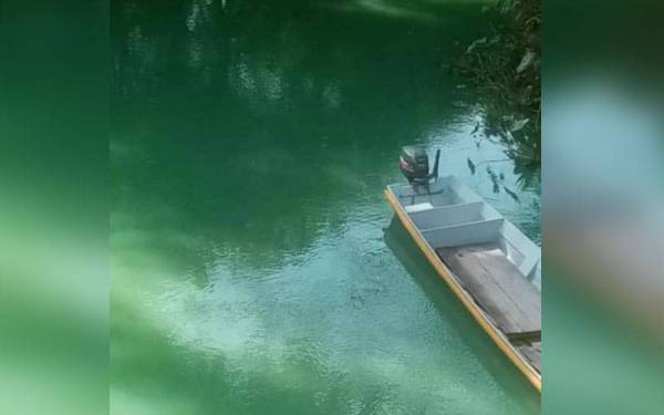 Antara gambar air Sungai Kechau Tui, Lipis bertukar warna hijau yang dikongsi pengguna FB, Man Teybor menerusi kumpulan FB Laman Loghat Pahang (LPP). - Foto FB Man Teybor