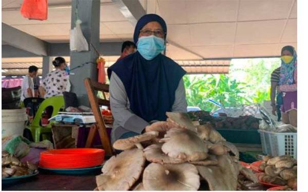 Sadiah mula mencari tumbuhan itu selepas kehilangan pekerjaan sebagai konduktor bas pada 2004 - Foto Astro AWANI