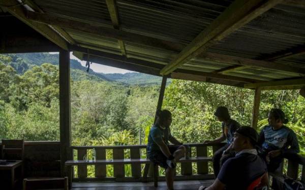 Pelancong tempatan beristirahat sambil menikmati pemandangan hutan ketika tinjauan di salah satu rumah inap desa yang terletak di Kampung Sting. - Foto Bernama