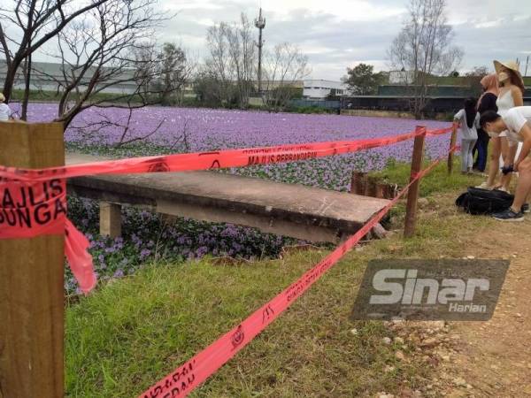 Majlis Perbandaran Sungai Petani Kedah memasang pita keselamatan sebagai tanda amaran dan berjaga-jaga bagi mengelakkan sebarang kejadian tidak diingini berlaku.