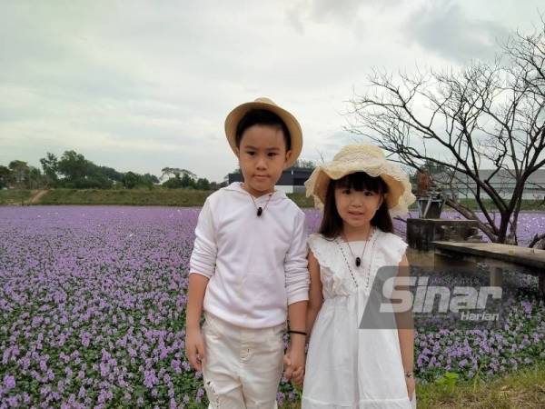 Dua kanak-kanak, Jimmy Lim, 6, dan Jafmin Lim, 5, dibawa ibu mereka untuk melakukan penggambaran di kolam takungan dekat Taman Ria Jaya, Sungai Petani yang tular kerana kecantikannya.