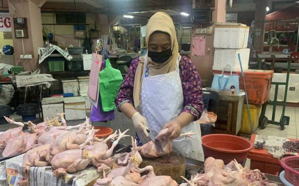 Zarina memberitahu bekalan tetap ada walaupun dalam musim tengkujuh.