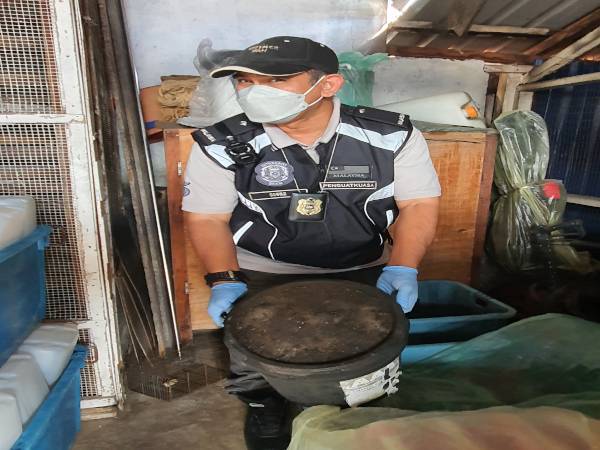 Mohd Wazir menunjukkan najis tikus dan lipas yang ditemui.