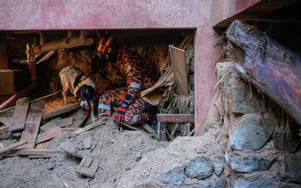 Pasukan mencari dan menyelamat menemukan dua 'hot spot’ yang dipercayai terdapat mangsa tragedi itu, iaitu di bawah rumah dipercayai tempat Emmanuel dikhuatiri hilang dan di bawah timbunan kayu balak. - Foto Bernama