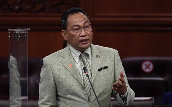 Timbalan Menteri Sumber Manusia merangkap Ahli Parlimen Pendang Datuk Awang Hashim menjawab soalan pada Persidangan Dewan Negara di Bangunan Parlimen hari ini. - Foto Bernama