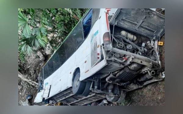 Foto Twitter/ Fher Brollero
