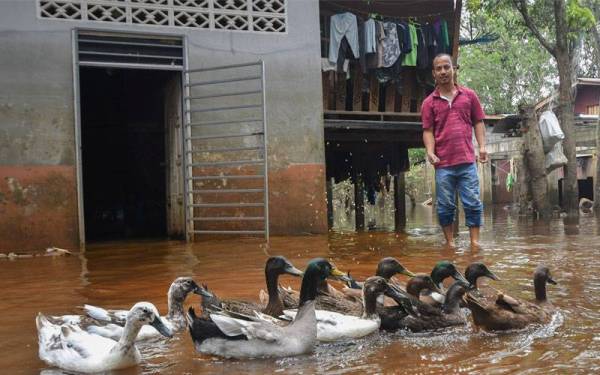 Empati untuk korban banjir