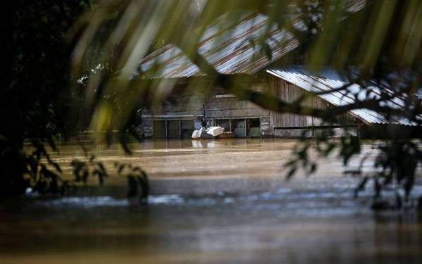 Ketinggian air yang hampir menenggelamkan sebuah rumah yang dibina setinggi 14 kaki di Kampung Seberang Batu Badak, hari ini.