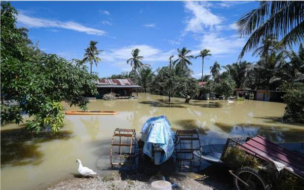 Fenomena ‘air datang’ sebabkan banjir di Kampung Parit Dahlan