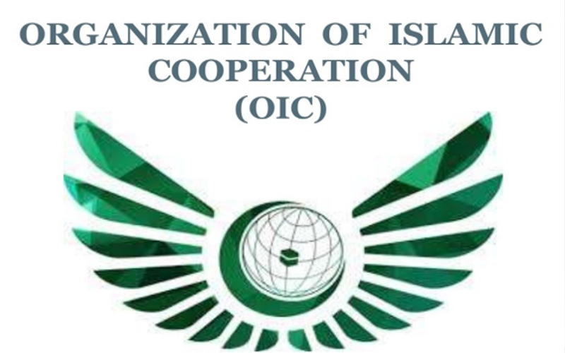 Pertubuhan Kerjasama Islam (OIC) pada Khamis menggesa supaya keganasan di Kazakhstan dihentikan berikutan tunjuk perasaan besar-besaran terhadap kenaikan harga bahan api.