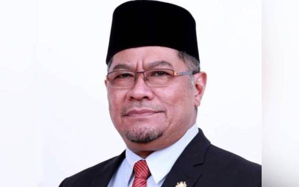 Timbalan Pengerusi Amanah Johor, Dzulkefly Ahmad
