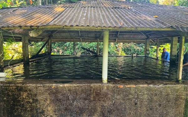 Kolam tadahan air yang membekalkan bekalan air bersih kepada enam kampung di Kupang.