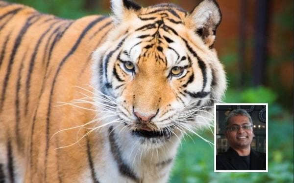 Foto 123RF (Gambar kecil: Mark Rayan)