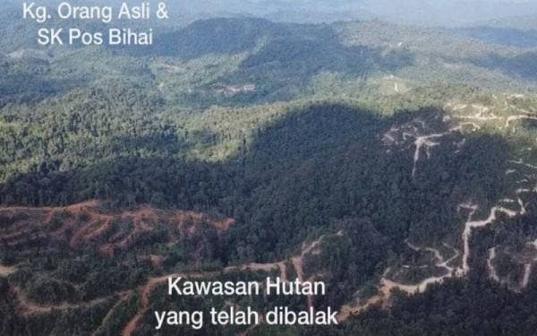 Imej kesan daripada aktiviti pembalakan hutan dirakam dron didakwa sebagai habitat harimau di Gua Musang. 