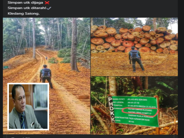Gambar dan kenyataan sama yang menyebut 'Hutan Simpan Pun Boleh Dapat Lesen Untuk Ditarah' itu pernah dimuat naik pada 2019. (Gambar kecil: Mohamed Zin)