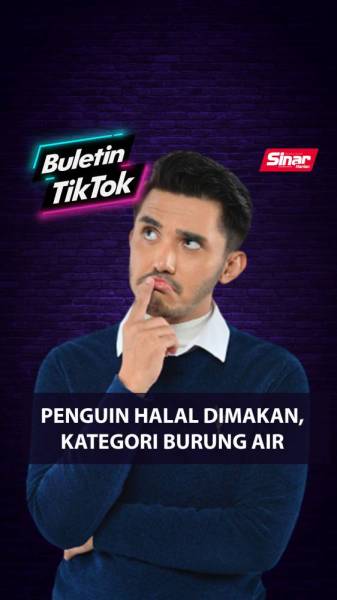 Buletin Tiktok thumbnail (IG)