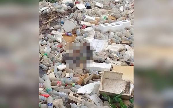 Polis menemui mayat seorang wanita dalam keadaan tidak berseluar dan tangan diikat di perangkap sampah di Sungai Kandis