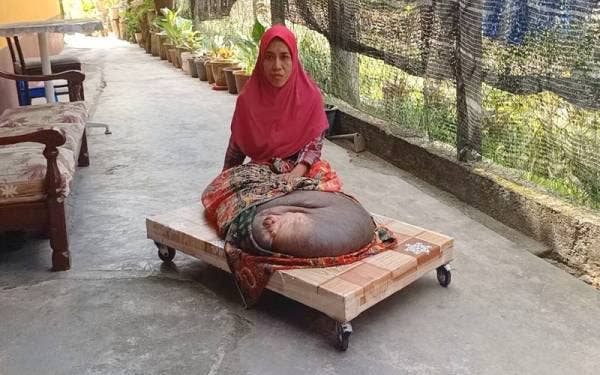 Rosmiza terpaksa bergantung kepada troli yang ditempah khas untuk bergerak kerana ketumbuhan pada kaki kanannya mencecah 100kg.