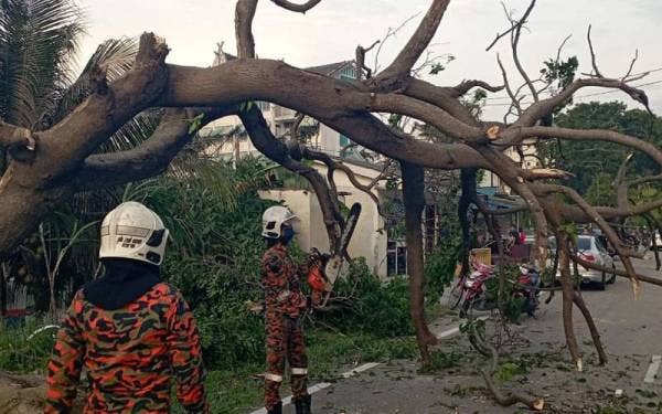 Pasukan bomba melakukan kerja-kerja pembersihan pokok tumbang di lokasi kejadian. - Foto ihsan Bomba