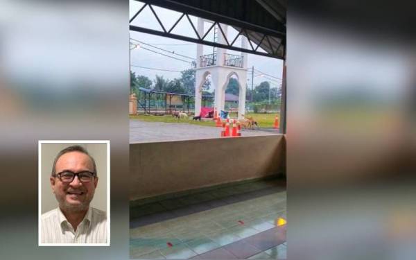 Sekumpulan anjing liar yang didapati berkeliaran di pekarangan Masjid Nurul Iman, Kampung Tengah, Puchong hampir setiap hari. (Gambar kecil: Mohd Ali)