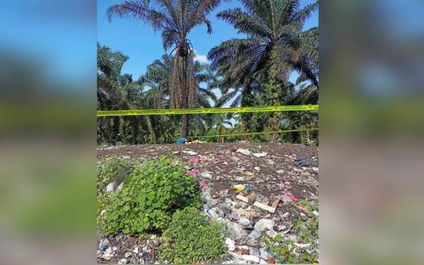 Keadaan longgokan plastik di sebuah tapak pelupusan sampah dan ladang kelapa sawit yang dipercayai berlaku di Setia Alam. - Foto Twitter Tuan Ibrahim Tuan Man