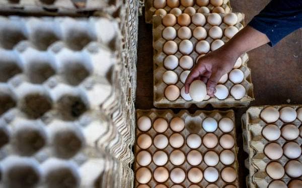 Pekerja dilihat menyusun telur ayam selepas kehabisan stok di sebuah pasar raya Kuala Terengganu. - Gambar hiasan
