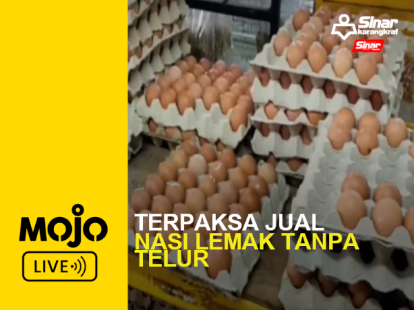 MOJO LIVE PORTAL-NASI LEMAK