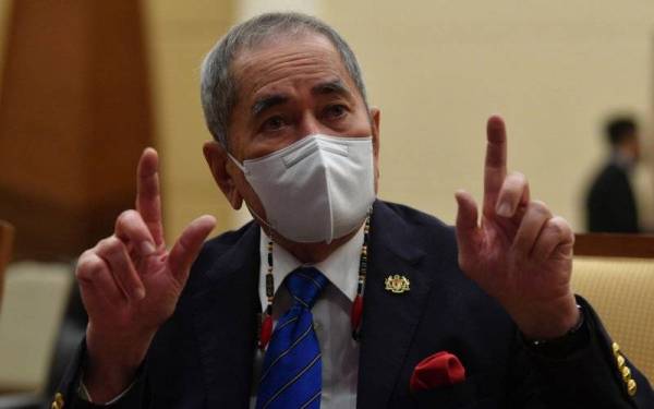 Wan Junaidi - Foto Bernama