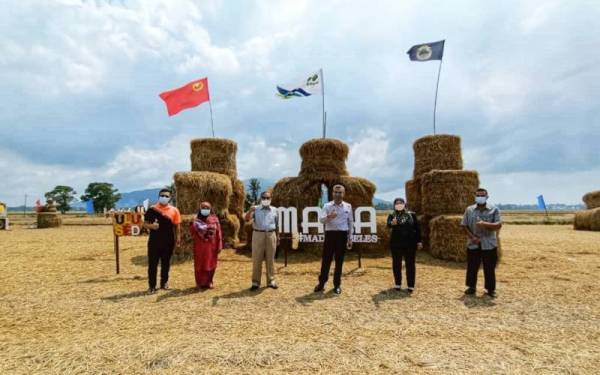 Kamarudin (tiga dari kanan) bergambar bersama Pengerusi PPK MADA F-IV Sungai Limau Dalam, Ismail Arshad (empat dari kanan) di hadapan salah satu replika jerami gulung.