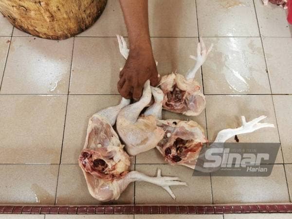 Bekalan ayam semakin kritikal hasil tinjaun di kebanyakan gerai jualan ayam di Kuala Terengganu.