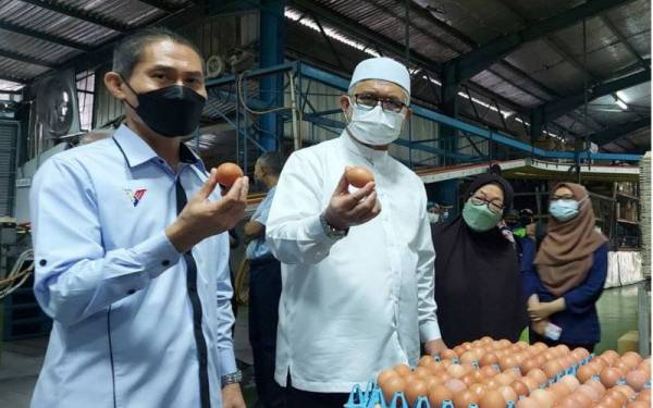 Razman (dua dari kiri) bersama Ahmad Shafri melawat kilang pengeluaran telur ayam di Bidor.