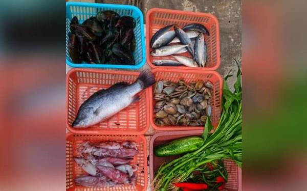 Set bernilai RM50 terdiri pelbagai ikan dan makanan laut yang ditawarkan oleh Iza Akma.
