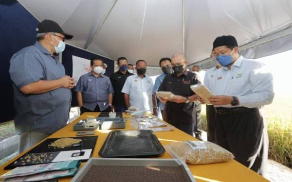 Ronald (dua dari kanan) bersama tetamu yang hadir meluangkan masa melihat hasil padi semasa lawatannya di Kampung Tok Jering, Alor Setar pada Ahad.