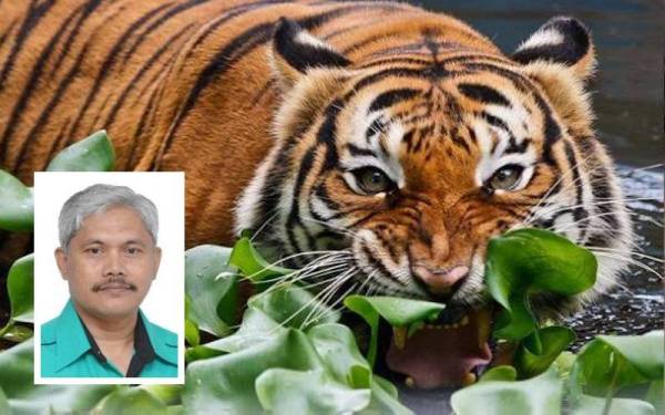 Gambar Hiasan (Gambar kecil: Profesor Dr Ahmad Ismail)