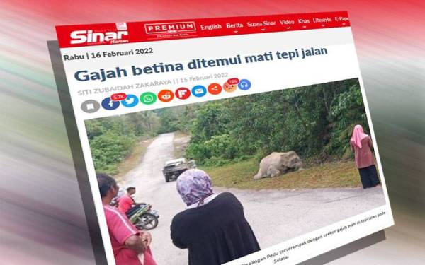 Laporan Sinar Harian pada Selasa.