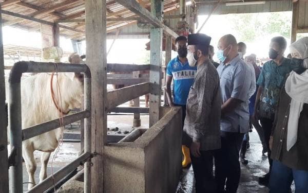 Nik Muhammad Zawawi melawat kandang ternakan lembu di Kampung Pandan 2 pada Khamis.