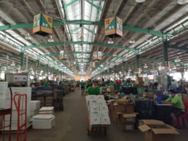 Pemantauan secara harian oleh DBKL mendapati tiada pembantu atau pekerja bukan warganegara yang dilantik oleh pemegang lesen di PBKL.