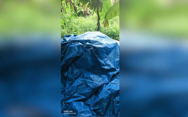 Suspek menutup arak dan rokok tanpa cukai yang disimpan di semak belakang rumahnya menggunakan kanvas bagi mengaburi mata pihak berkuasa.