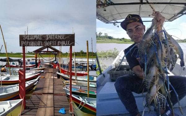 Inisiatif penduduk dan nelayan tempatan membangunkan kawasan Pengkalan Sepit Biru di Kampung Permatang Berangan, Pinang Tunggal di sini membantu mereka menjana pendapatan. Pengunjung menunjukkan hasil tangkapan udang galah yang diperolehi.