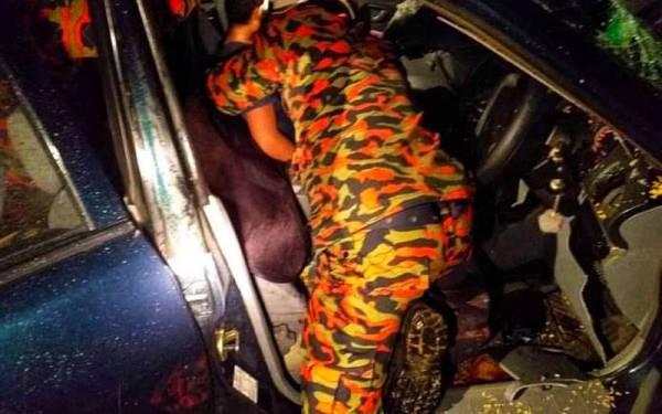 Anggota bomba berusaha mengeluarkan mangsa yang tersepit. - Foto FB Bomba dan Penyelamat Negeri Pahang