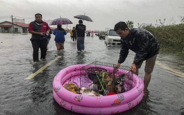Wan Ashraf Wan Salam, 26, menggunakan kolam kanak-kanak sebagai pelampung untuk menyelamatkan kucing peliharaannya ke tempat selamat selepas kediamannya di landa banjir di Taman Wira Jaya, Lubuk Jong pada Ahad - Foto: Bernama