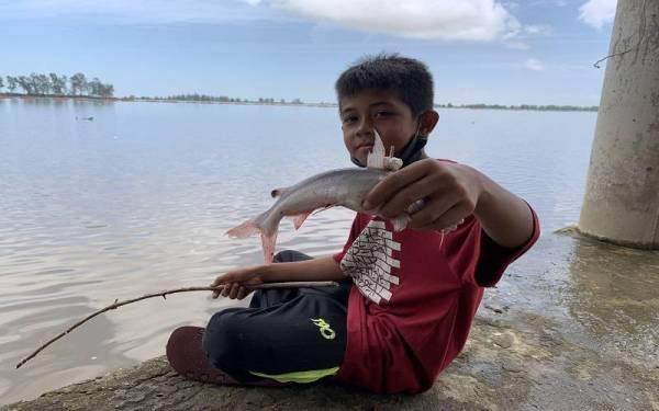 Nik Mohd Shahmi menunjukkan ikan yang berjaya dipancingnya di jeti berkenaan.