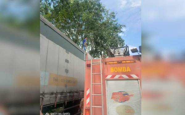 Usaha membawa turun lelaki berkenaan dari atas lori kontena.