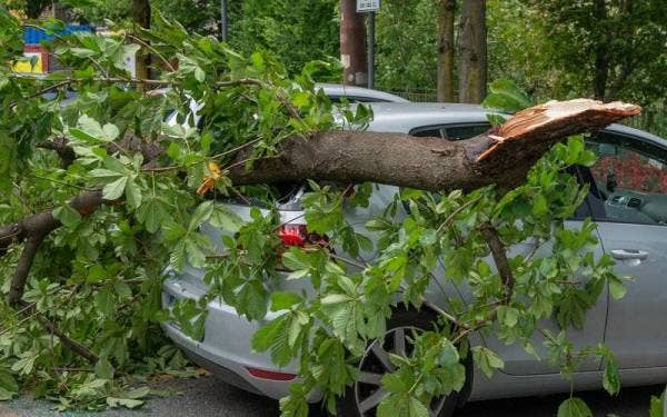 Gambar hiasan - Foto 123rf