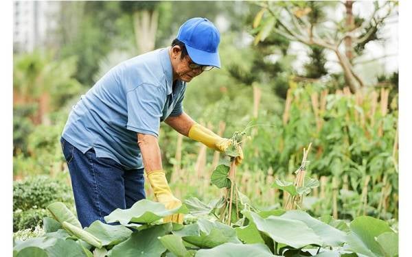 Keutamaan tangani kos sara hidup melalui Tunjang 3 dalam Ikrar Perikatan Nasional dilihat selari dan menghayati masalah ekonomi rakyat masa ini.